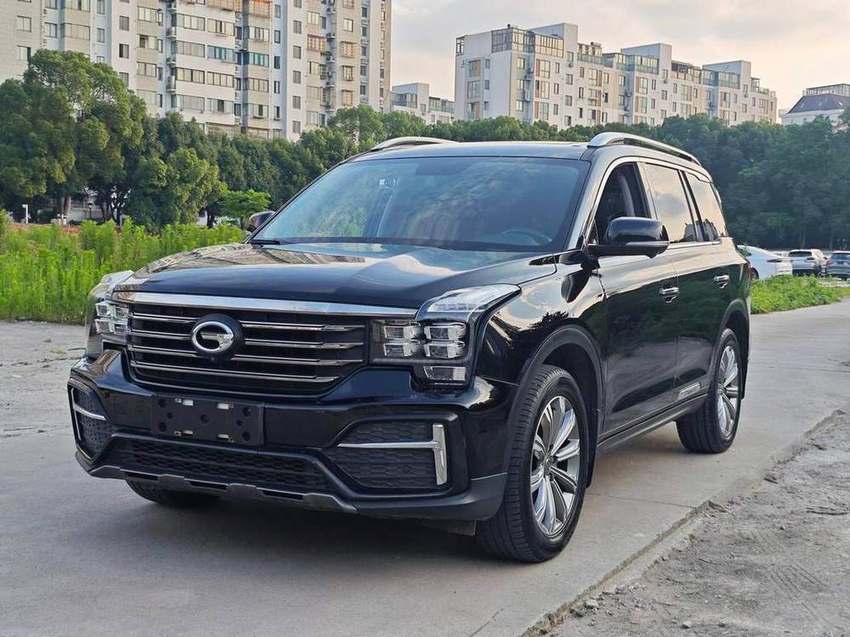 2020 GAC GS8 (390T)